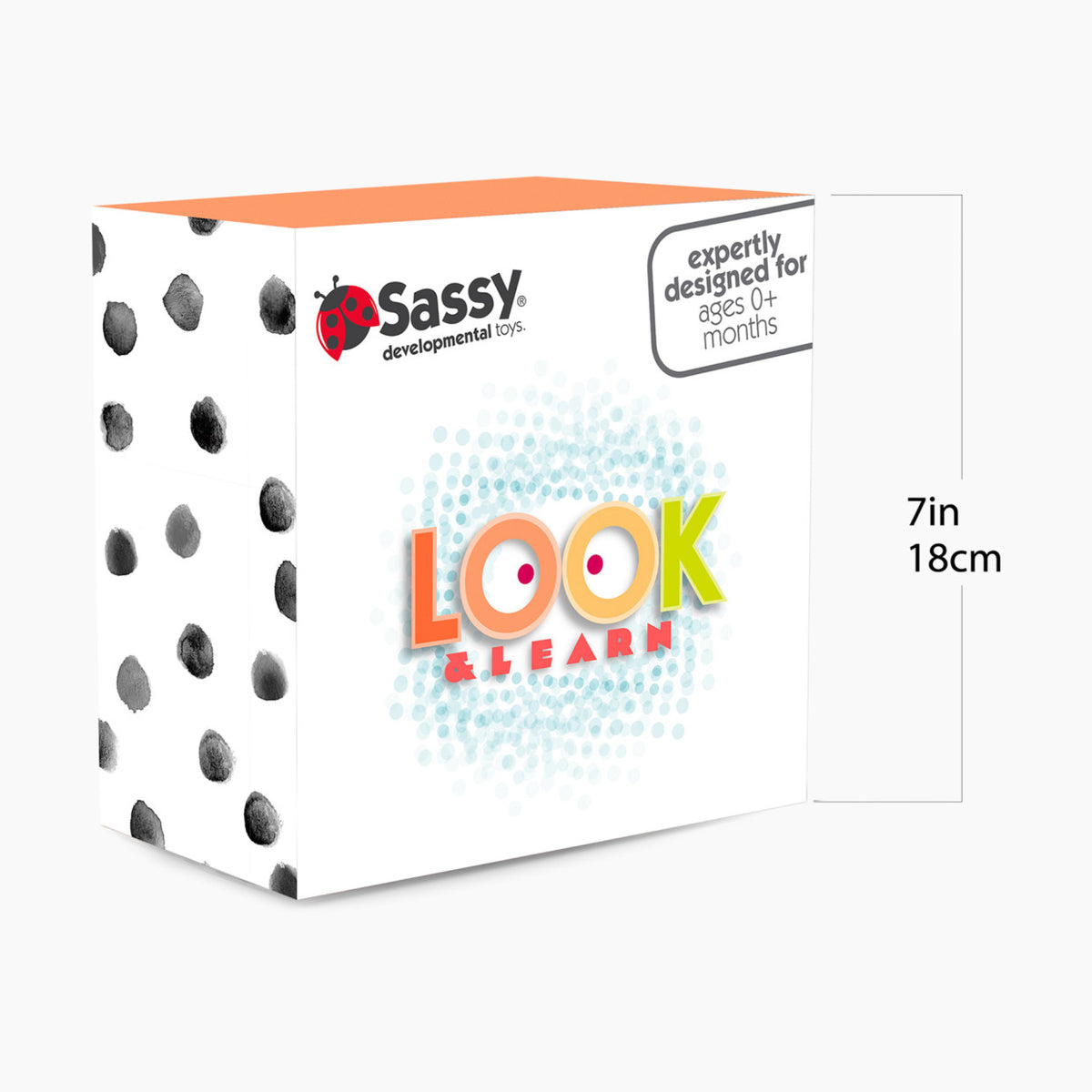 SASSY Look & Learn Baby Box Set