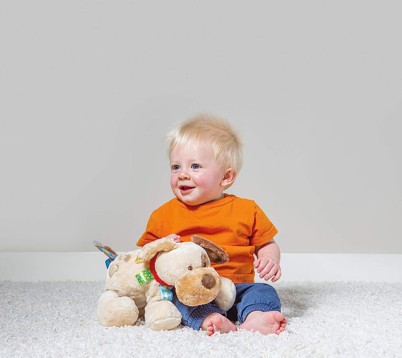 Mary Meyer Taggies Buddy Dog, Brown / Beige Soft Toy, 12"
