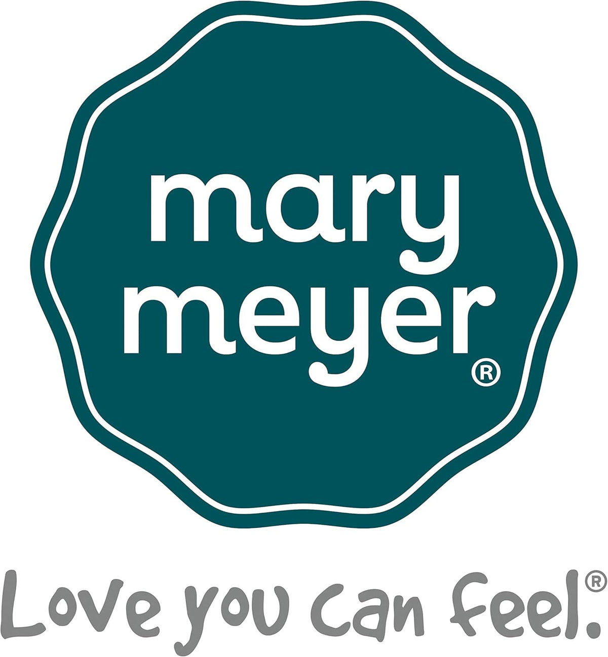 Mary Meyer Taggies Touch & Feel Soft Cloth Book with Crinkle Paper & Squeaker, 6 x 6-Inches, Painted Pony