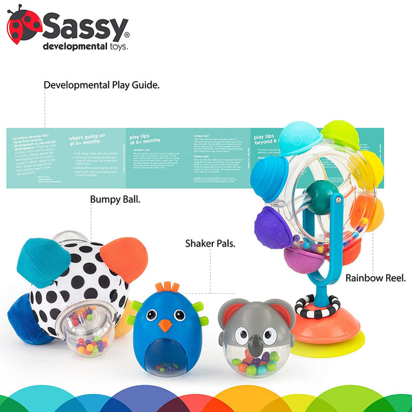 Sassy Move & Groove Baby Box - 6+ Months